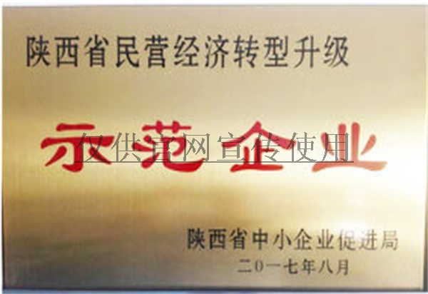 陜西省民營經(jīng)濟(jì)轉(zhuǎn)型升級(jí)示范企業(yè)